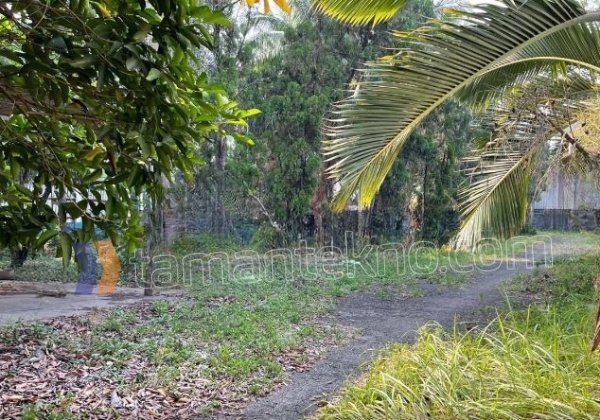 JUAL Tanah 2,4Ha Dekat Tol di Jalan Raya Serpong Tangerang